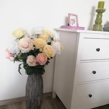 Glam Apartman Apartment Hustopece